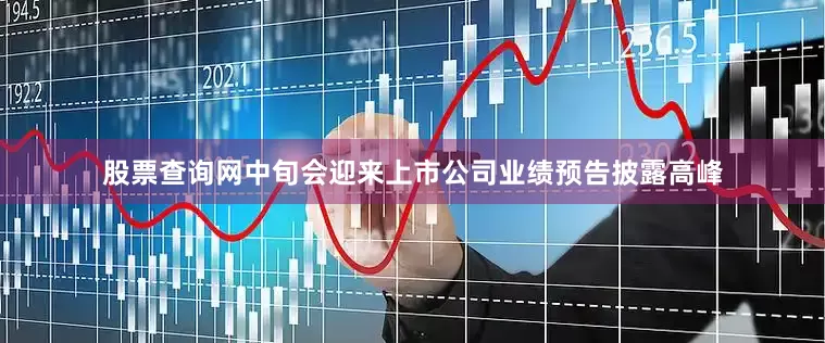 股票查询网中旬会迎来上市公司业绩预告披露高峰