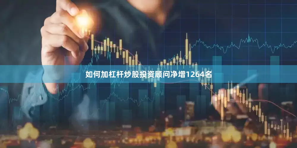 如何加杠杆炒股投资顾问净增1264名