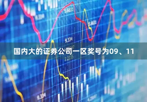 国内大的证券公司一区奖号为09、11