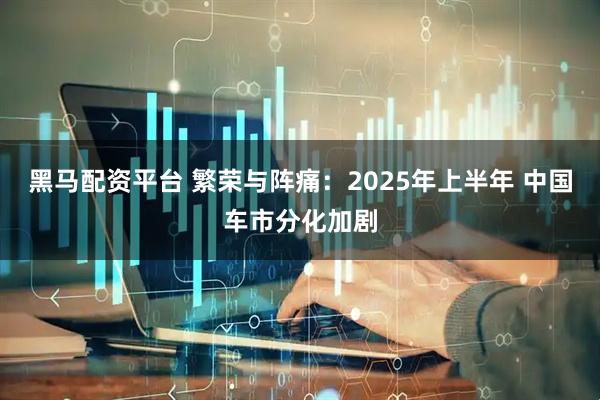 黑马配资平台 繁荣与阵痛：2025年上半年 中国车市分化加剧